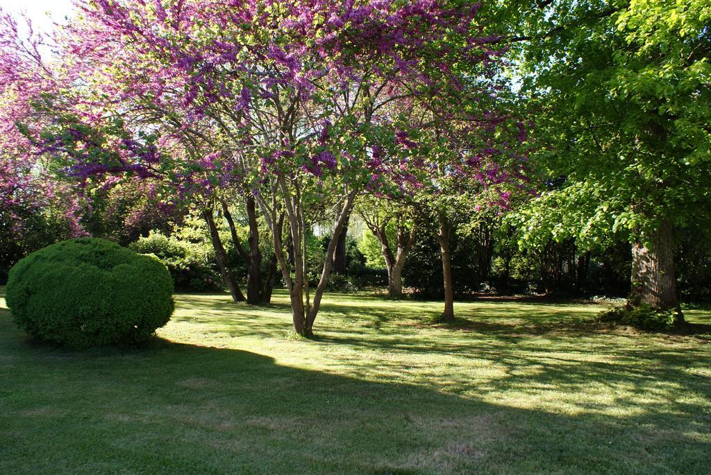 Chateau De Grenier Bed and Breakfast Saint-Léger Esterno foto